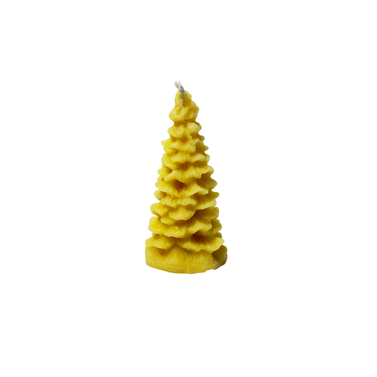 Natūrali žvakė - eglutė