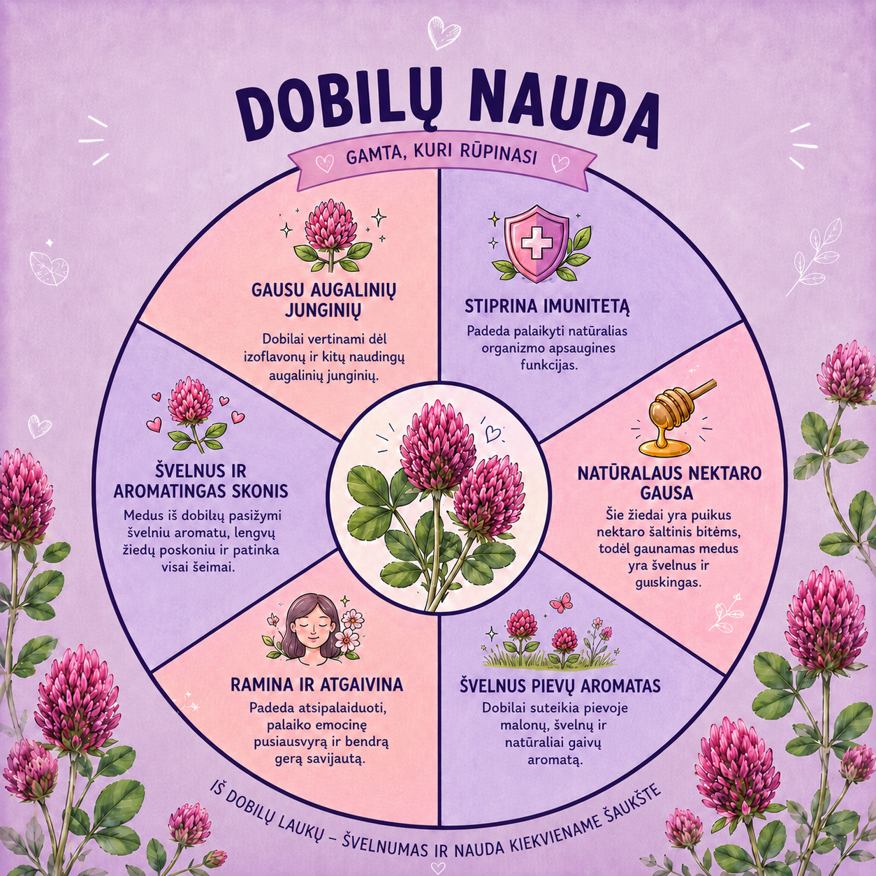Dobilų medus – šviežio derliaus, kristalizuojantis